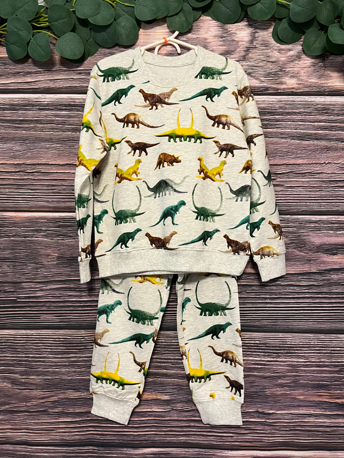 Boys Dinosaur Lounge Set